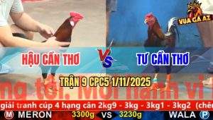Trận 9 CPC5 1/11/2025 - Anh Hậu Cần Thơ Và Anh Tư Cần Thơ