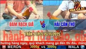 Trận 9 CPC5 15/11/2025 - Anh Đảm Rạch Giá Và Anh Hải Cần Thơ