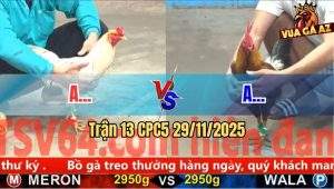 Trận 13 CPC5 29/11/2025