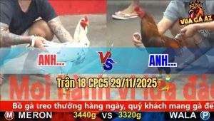 Trận 18 CPC5 29/11/2025