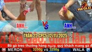 Trận 22 CPC5 12/11/2025