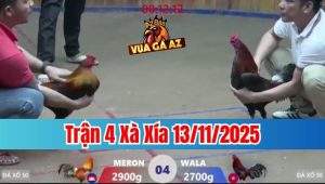 Trận 4 Xà Xía 13/11/2025