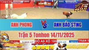 Trận 5 Tonhon 14/11/2025
