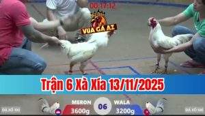 Trận 6 Xà Xía 13/11/2025