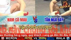 Trận 12 CPC5 13/11/2025