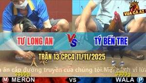 Trận 13 CPC4 11/11/2025