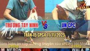 Trận 15 CPC4 11/11/2025