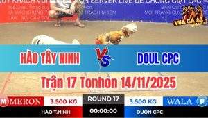 Trận 17 Tonhon 14/11/2025