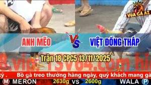 Trận 18 CPC5 13/11/2025