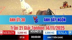 Trận 21 Giải Tonhon 14/11/2025