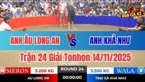 Trận 24 Giải Tonhon 14/11/2025