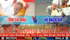 Trận 25 CPC5 13/11/2025