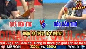 Trận 28 CPC5 11/11/2025