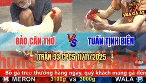 Trận 33 CPC5 11/11/2025