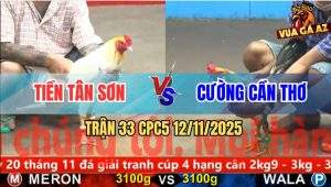 Trận 33 CPC5 12/11/2025