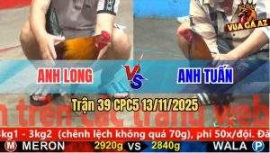 Trận 39 CPC5 13/11/2025