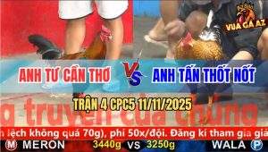 Trận 4 CPC5 11/11/2025