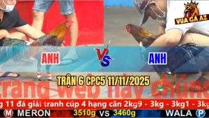 Trận 6 CPC5 11/11/2025
