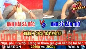 Trận 7 CPC5 11/11/2025