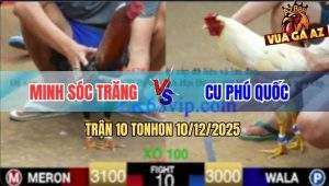 Trận 10 TonHon 10/12/2025 - Điều Anh Cú Phú Quốc Đá Có Chân Lấy Tiền