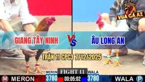 Trận 11 CPC3 7/12/2025 - Bướm Nhấp Nhã Mấy Chân Điều Té Lộn Cổ