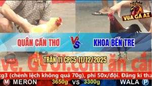 Trận 11 CPC5 11/12/2025 - Úa Cọp Anh Quân Chồng Độ Đâm Điều Chạy Chết