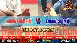 Trận 11 CPC5 8/12/2025 - Gà Điều Có Chân Xạo Lờ Đưa Biện Ra Đảo