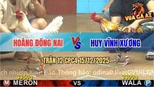 Trận 12 CPC4 15/12/2025 - Điều Bông Anh Huy Nuốt Ói Phản Ăn 2