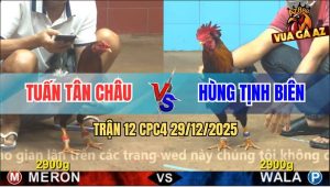 Trận 12 CPC4 29/12/2025 - Điều Nhập Anh Tuấn Dập Như Cái Máy