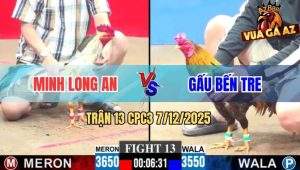 Trận 13 CPC3 7/12/2025 - Bướm Má Minh Bẻ Cổ Gà Khét Anh Gấu Bến Tre