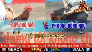 Trận 13 CPC5 2/12/2025 - Điều Lá Lệch Đâm Que Lá Đứng Quẹo Cổ