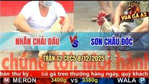 Trận 13 CPC5 8/12/2025 - Bướm Anh Sơn Đá Tốc Độ, Đỏ Lọt Ói Sau 3 Chân