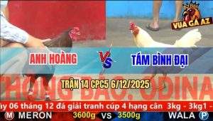 Trận 14 CPC5 6/12/2025 - Điều Cọp Anh Hoàng Chặn Cây Đầu Bướm Lìa Giò