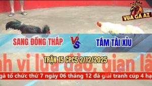Trận 15 CPC5 2/12/2025 - Gà Điều Anh Sang Đồng Tháp Có Chân Xạo Lờ