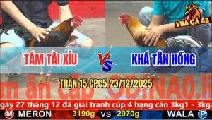 Trận 15 CPC5 23/12/2025 - Que Tích Vôi Đá Xám Ngay Mu Lưng Té Nằm Đống