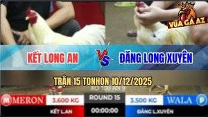 Trận 15 TonHon 10/12/2025 - Gà Úa Anh Đăng Có Chân Phản Phút 90