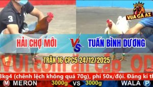 Trận 16 CPC5 24/12/2025 - Úa Hiệu Anh Tuấn Nhảy 2 Nhịp Điều Ngã Ngang