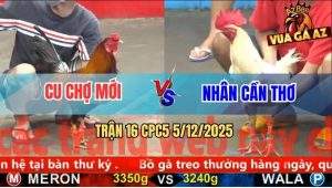 Trận 16 CPC5 5/12/2025 - Điều Anh Cu Canh Nạp Quá Hay Bướm Lật Ngang