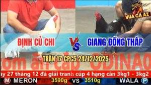 Trận 17 CPC5 24/12/2025 - Điều Xanh Anh Giang Đâm Gà Úa Té Xòe Đuôi