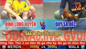 Trận 18 CPC5 25/12/2025 - Điều Vàng Hít Vô Đâm Điều Đỏ Nhập Thổ