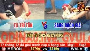Trận 18 CPC5 8/12/2025 - Anh Tư Trí Tôn Đụng Độ Anh Sang Rạch Giá
