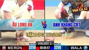 Trận 2 CPC3 7/12/2025 - Gà Úa Anh Âu Long An Tải Cựa Quá Lực