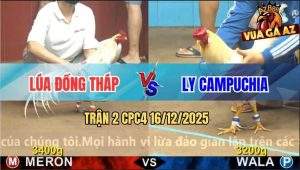 Trận 2 CPC4 16/12/2025 - Bướm Chân Xanh Đá Tăng 1 Lấy Tiền Ngọt Sớt