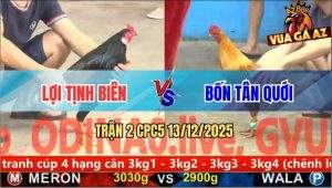 Trận 2 CPC5 13/12/2025 - Gà Khét Anh Bốn Đâm Gà Ô Anh Lợi Quẹo Cổ