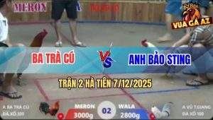 Trận 2 Hà Tiên 7/12/2025 - Tài Nghệ Của Bảo Sting Cùng Phải Buông Tay