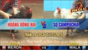 Trận 20 CPC4 15/12/2025 - Bướm Đâm Điều Anh Hoàng Lủng Mình Như Cái Rổ