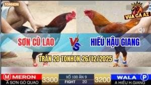 TRAN 20 TONHON 26122025