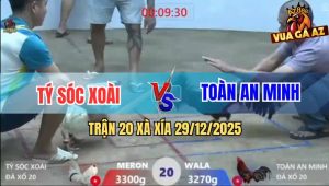 Trận 20 Xà Xía 29/12/2025 - Vô Kính Bướm Dính Cây Cần Chạy Trối Chết