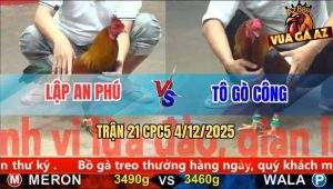 Trận 21 CPC5 4/12/2025 - Điều Chân Vàng Bẻ Giò Chân Xanh Ngay Hồi Đầu