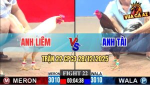 Trận 22 CPC3 28/12/2025 - Xám Cọp Anh Tài Siết 1 Hơi Bướm Hư Khớp Gối